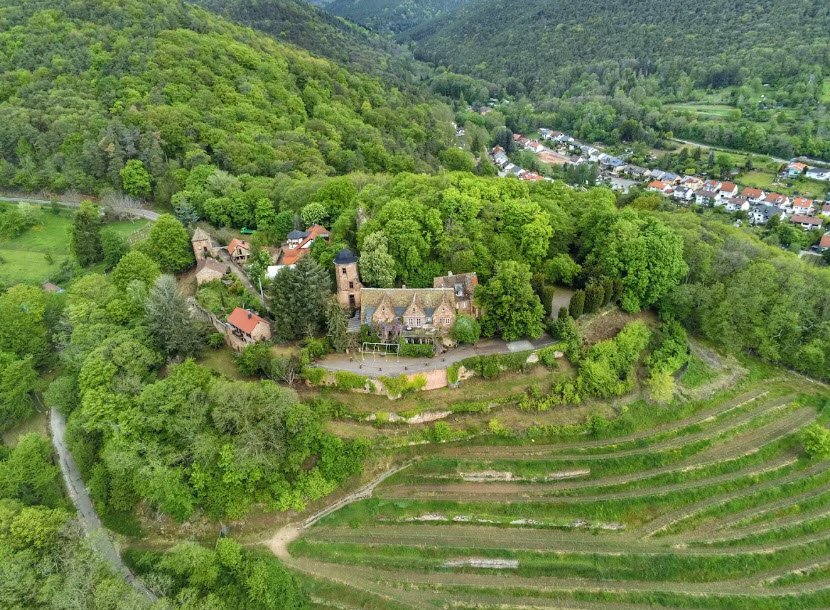 Schloss Kropsburg, Sankt Martin, Germany, Germany